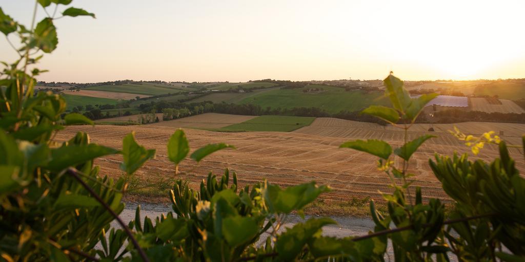 דירות Monte San Vito Poggio Antico מראה חיצוני תמונה